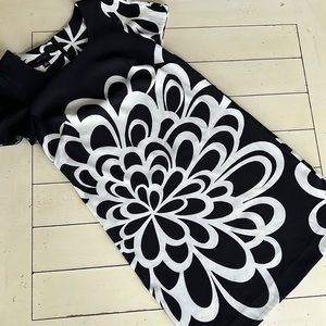 AB Studios Black/White Bold Flower Dress.